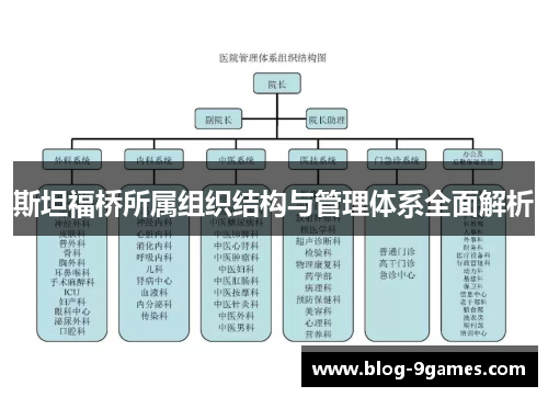 斯坦福桥所属组织结构与管理体系全面解析