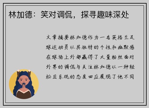 林加德：笑对调侃，探寻趣味深处